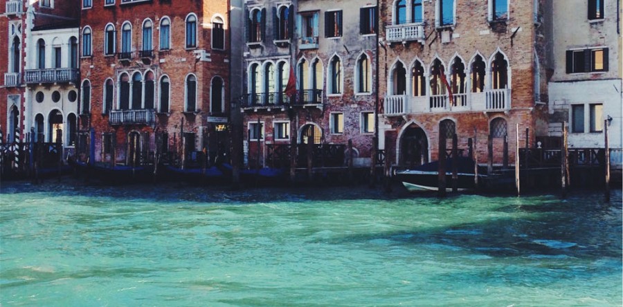 Sed blandit massa vel